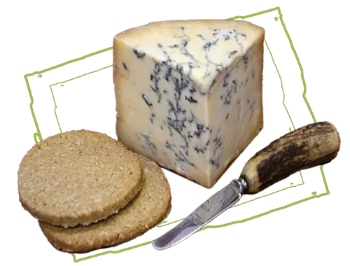 Colsten Bassett Stilton