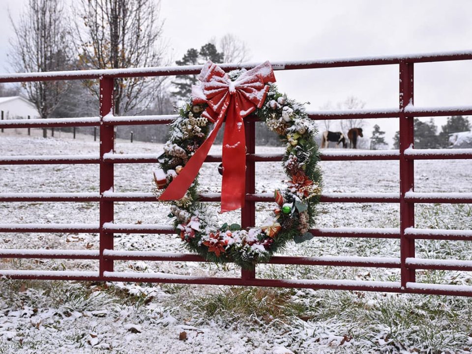 North Acomb Farm Shop, wreath on filed gate